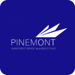 Pinemont - blue bg